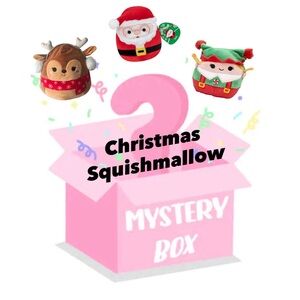 4/$20 Christmas Squishmallow Mystery Box